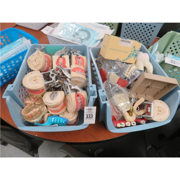 Dental Models