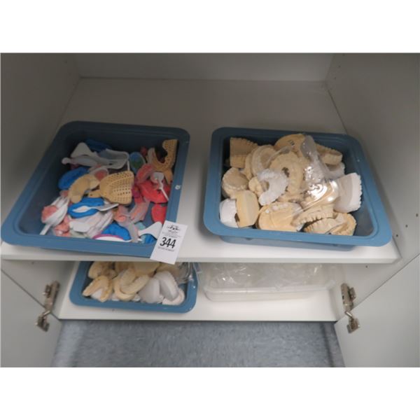 Asst. Dental Models