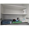 Image 1 : Lab Safety Eyewear, Utility Wax, Dental Tools