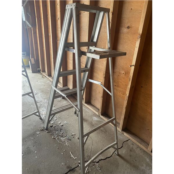5 Foot Ladder