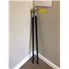 Image 3 : "IVY+Bean Movie" Hero Monsieur Joi's ballet dance  canes