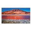 Image 1 : Samsung TV 7000 CRYSTAL - NEW IN BOX
