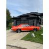 Image 2 : 1970 PONTIAC LEMANS JUDGE TRIBUTE