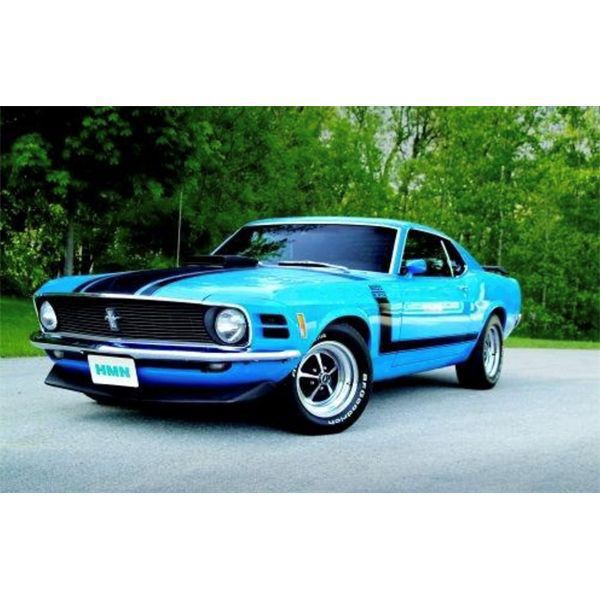 1970 MUSTANG BOSS 302