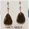 Image 2 : 14K YELLOW GOLD CANADIAN AMMOLITE DIAMOND