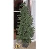 Image 1 : PRE-LIT (FAKE) POTTED PINE TREE