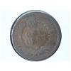 Image 2 : 1884 Indian Head Cent