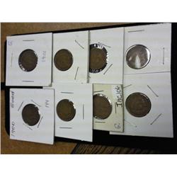 1900-1907 Indian Head Cents (8 Coins)