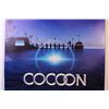 Image 3 : Cocoon Movie Poster on Cardboard (25x38)