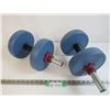 Image 1 : (2) Weider Dumb bells (25 kg weights)