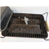 Image 2 : Small BBQ