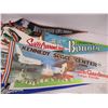 Image 2 : (8) Pennants