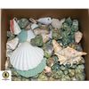 Image 1 : BOX OF SEASHELLS