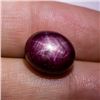 Image 2 : 12.59CT NATURAL STAR RUBY GEMSTONE $5700 APPRAISAL