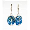 Image 1 : NEW SILVER PLATED ENAMEL INLAY EARRINGS