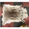 Image 1 : REINDEER HIDE 45" MX 41"
