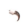 Image 13 : Collection of Black Bear Front Claws