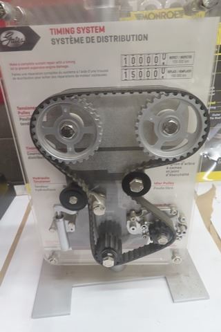 Gates 2 Sided Serpentine/ Timing Belt Counter Display