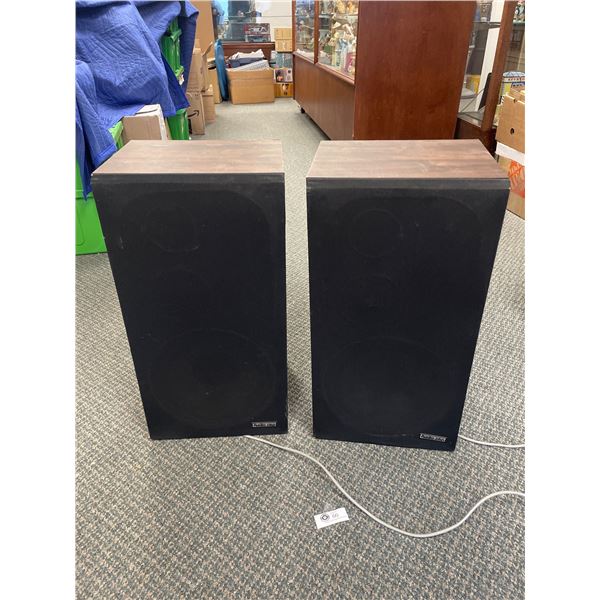 Pair of Audio Plus Speakers in Cabinets