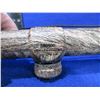 Image 2 : Simmons ProSport 4-12x40 A/O Camo Rifle Scope # 580500