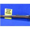 Image 3 : Antique - P. Webley Martini Henry in 577/450