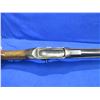 Image 9 : Antique - P. Webley Martini Henry in 577/450