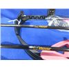Image 4 : NEW - Bear Archery Youth Brave Compound Bow Package