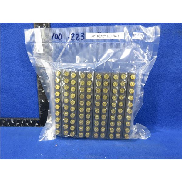Brass Only - 223 Rem. Primed - Pack of 100