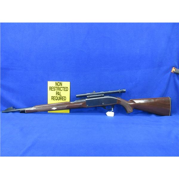 Non-Restricted - Remington Nylon 66 in 22 LR