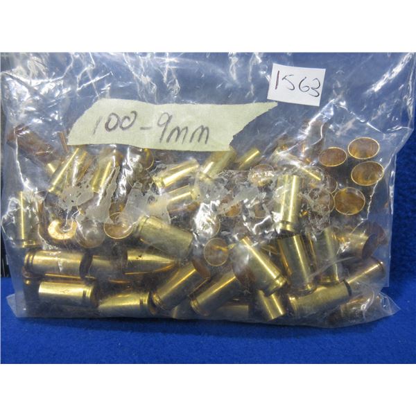 Brass Only - 9MM Luger Unprimed - Bag of 100