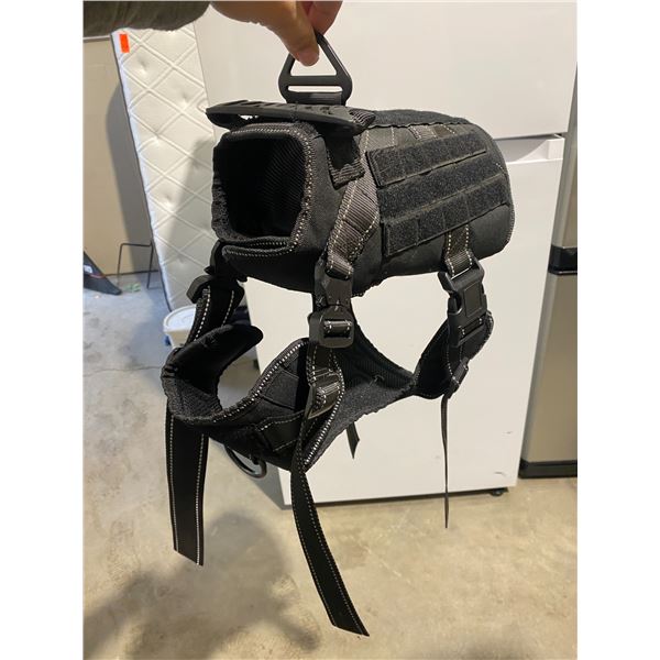 Harness