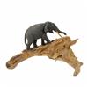 Image 4 : Hand Carved Teak Walking Elephant (CLB-262)