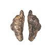 Image 1 : Ancient Black Sea region (Skythia) coinage - 'dolphin'-shaped cast coin