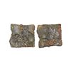 Image 1 : Ancient Central Malwa, Vidisha region - uninscribed post-Mauryan Silver Copper coin