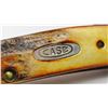 Image 6 : 1995 CaseXX 5318SS Stag 5 Dot 3Blade Knife in Tin