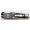 Image 2 : Buck 334 Millenium Trapper Limited Ed. Folding