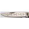 Image 8 : Buck 334 Millenium Trapper Limited Ed. Folding