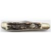 Image 2 : BulldogBrand PitBulls-Trademark 3Blade Trapper