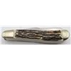 Image 8 : BulldogBrand PitBulls-Trademark 3Blade Trapper