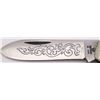 Image 8 : CaseXX 52131 Blue Scroll Canoe Folding Knife with