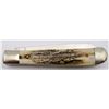 Image 7 : Schrade USA LTD Ruger Stag WildlifeForever Trapper