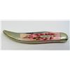 Image 2 : CASEXX RASPBERRY BONE TOOTHPICK KNIFE 610096SS