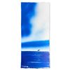 Image 2 : Dolphin by Wyland Original