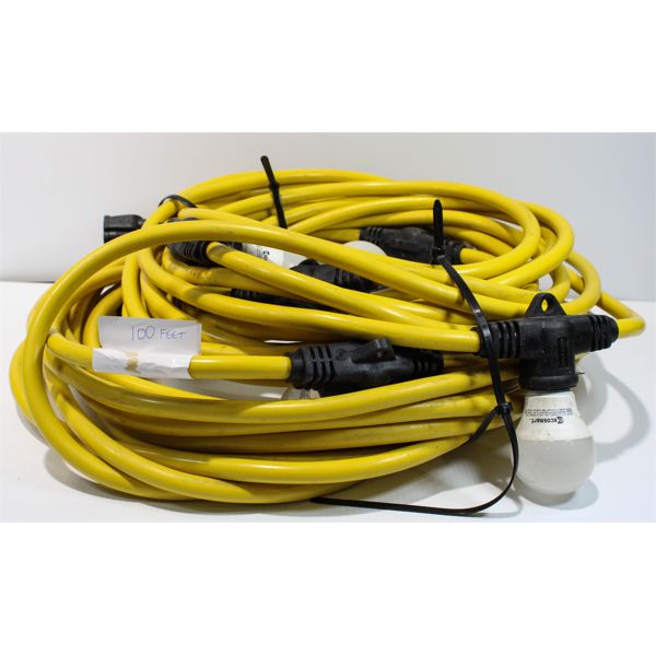 100' HEAVY DUTY COMMERCIAL STRING LIGHTS W/LED BULBS