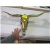 Image 1 : BRASS TEXAS LONGHORN HEAD