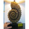 Image 2 : SHELL BASED LAMP