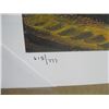Image 3 : NUMBERED PRINT 'BENT PINE' BY A.Y. JACKSON - GROUP OF SEVEN - 615/777