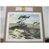 Image 1 : NUMBERED PRINT 'WHITE PINE'  BY A.J. CASSON - GROUP OF SEVEN - 342/777