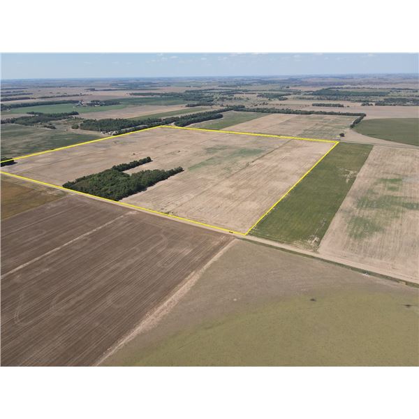 154+/- Acres of Stafford Co Dryland