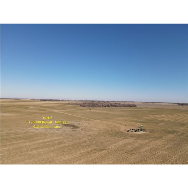 0.125000 Royalty Interest - Mineral Production - Kachelman Lease